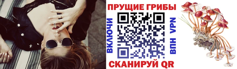 Галлюциногенные грибы Psilocybine cubensis  где купить наркоту  Елабуга 