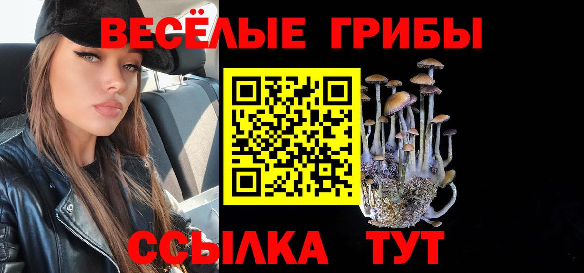 Елабуга  Псилоцибиновые грибы мицелий  Галлюциногенные грибы мухоморы  Вход с VPN 
