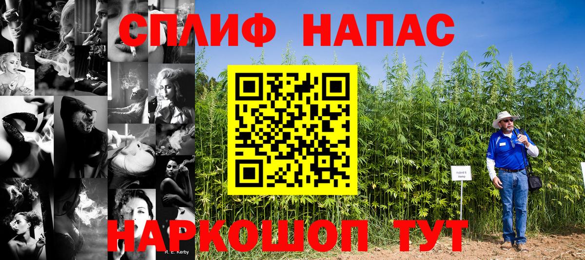 МАРИХУАНА планчик Елабуга